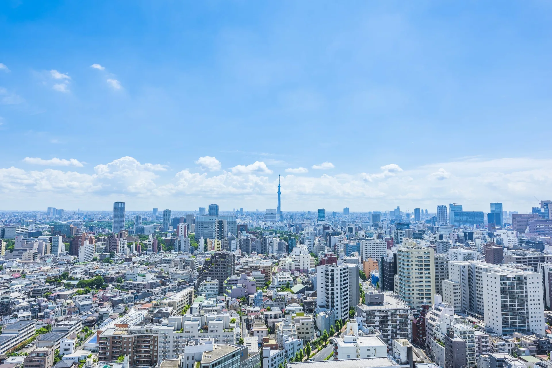 Tokyo city skyline , Japan.
