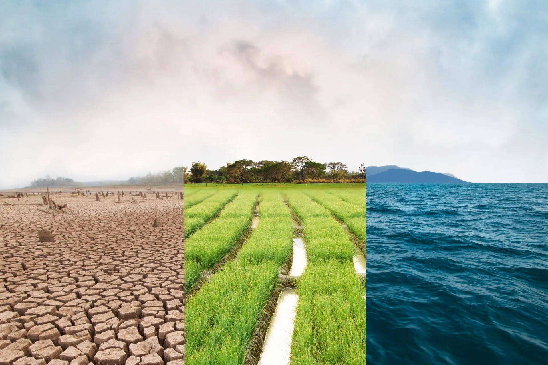 Climate,Change,Compare,Image,With,Drought,,Green,Field,And,Ocean