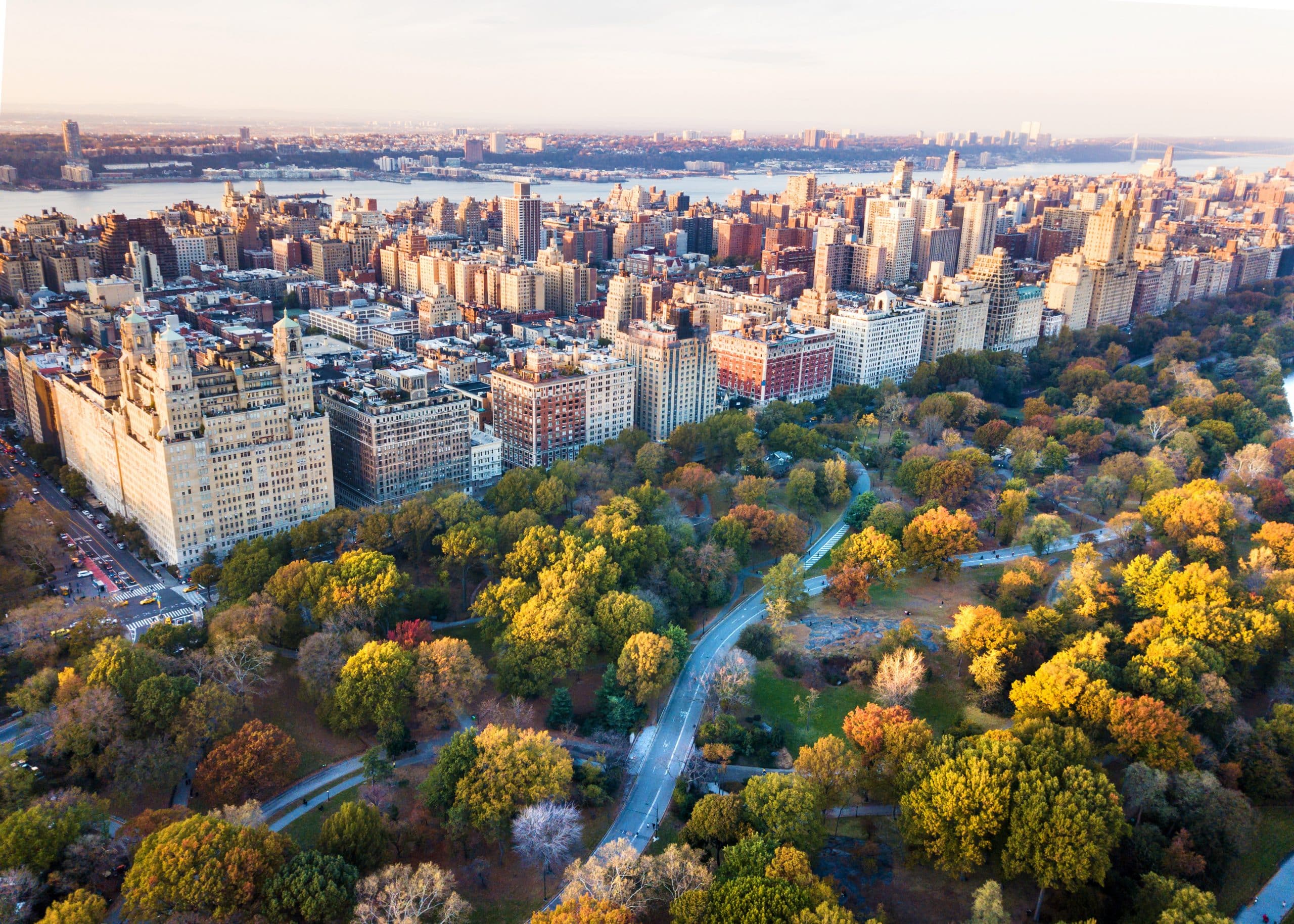 2023: State of the Market at Mid-Year Report